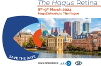 The Hague Retina